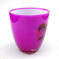 Plastic Cup Disposable Tumbler Double Wall Mug
